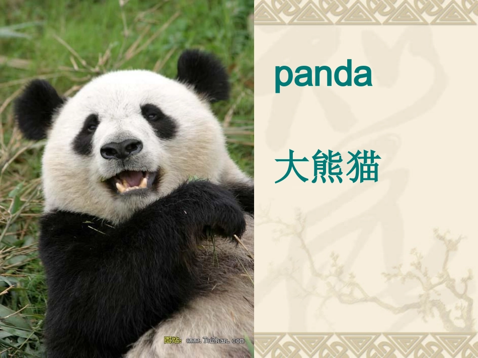 三年级英语That_monkey_is_fat课件_第2页