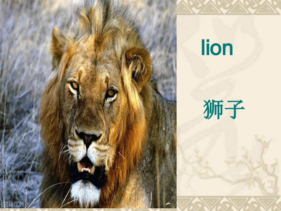 三年级英语That_monkey_is_fat课件_第3页