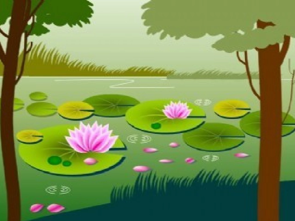 精美荷花模板_第3页