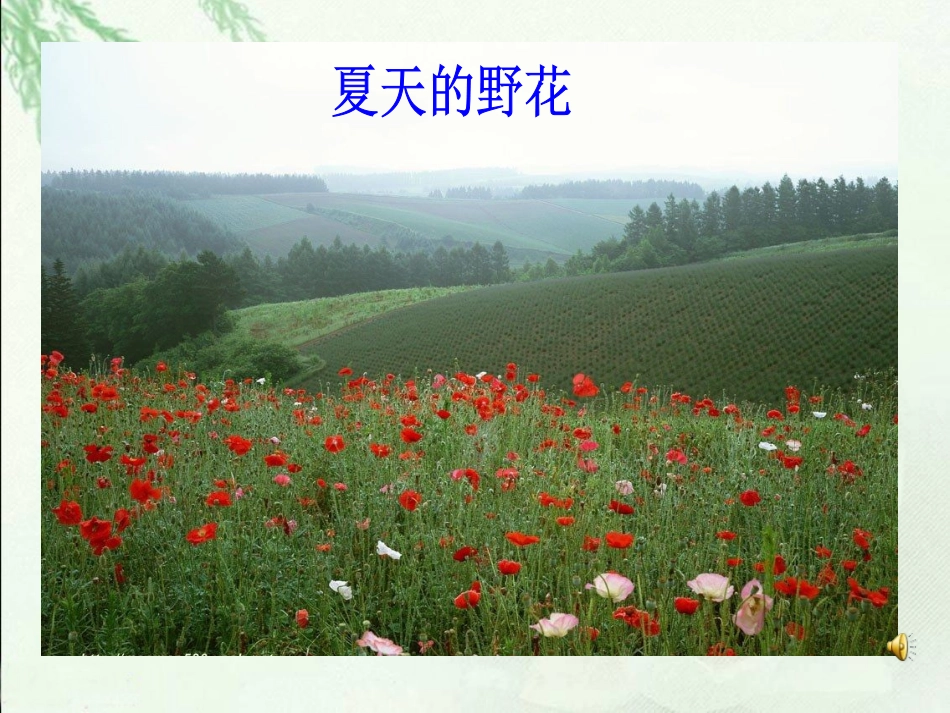 《夏天，我们注意什么》课件_第2页