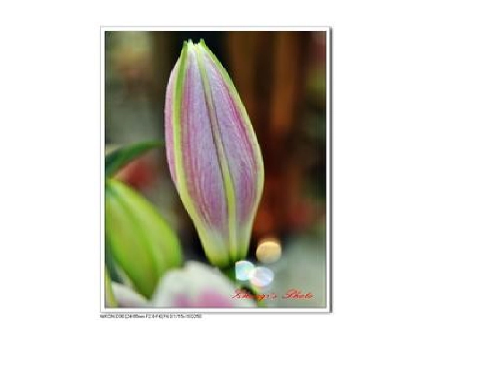 《红马的故事》演示文稿_第3页