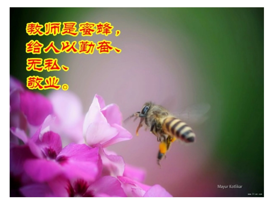 教师的十种比喻_第2页