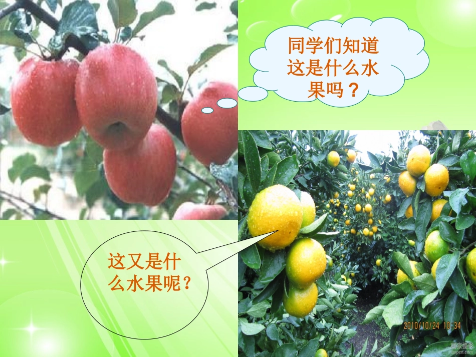 《我爱故乡的杨梅》_第1页