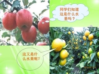 《我爱故乡的杨梅》