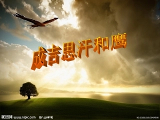 《成吉思汗和鹰》