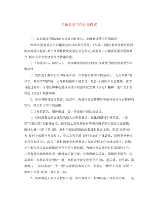 乡镇党委工作计划格式