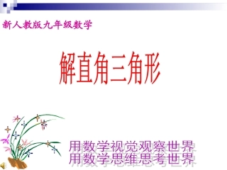 新人教版九年级数学解直角三角形