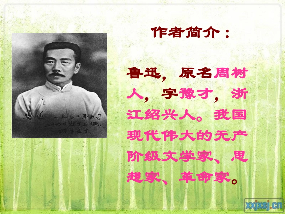 《祝福》精品课件_第3页