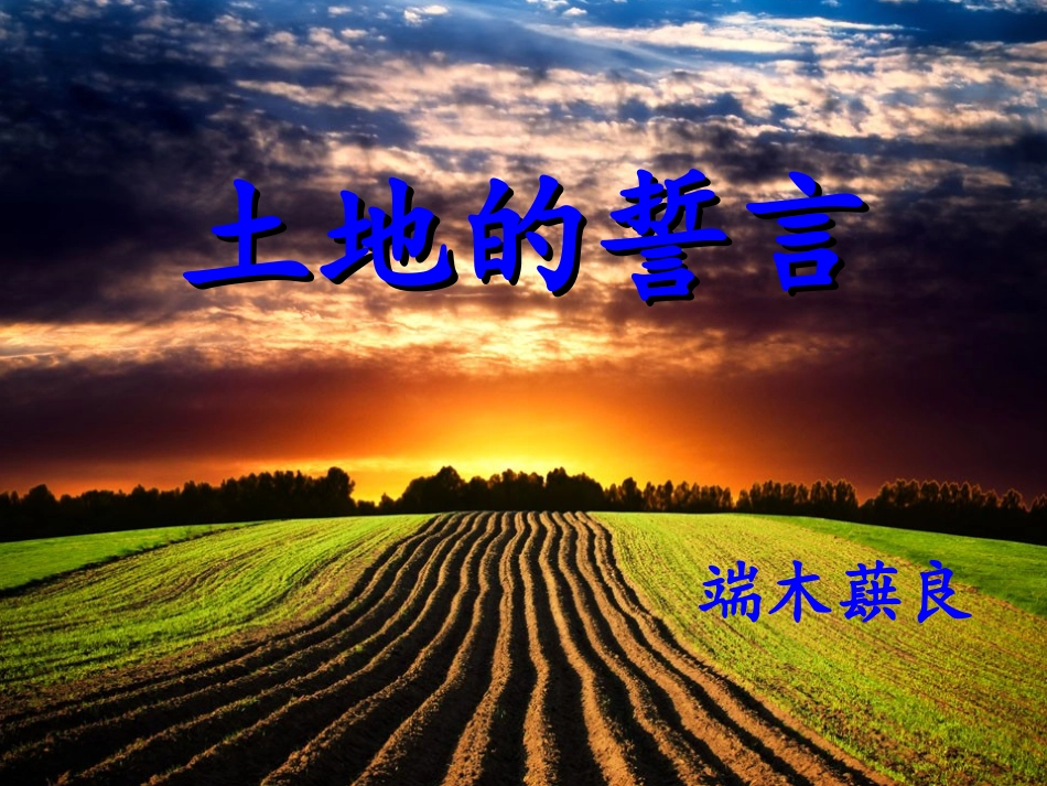 《土地的誓言》（南宁十四中申颖）_第2页