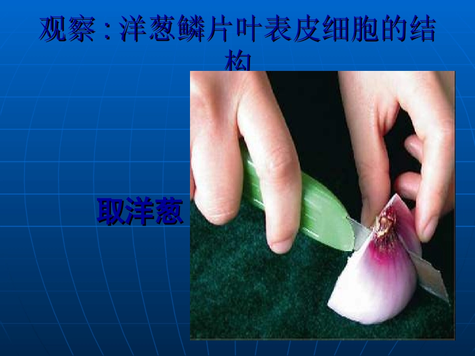 七年级生物植物细胞的结构和功能_第3页