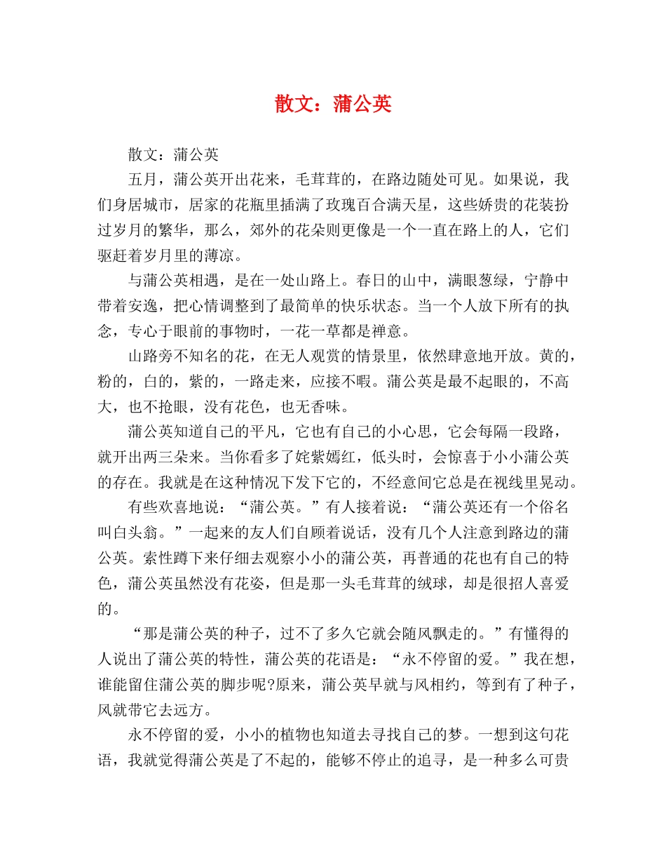 散文蒲公英 _第1页