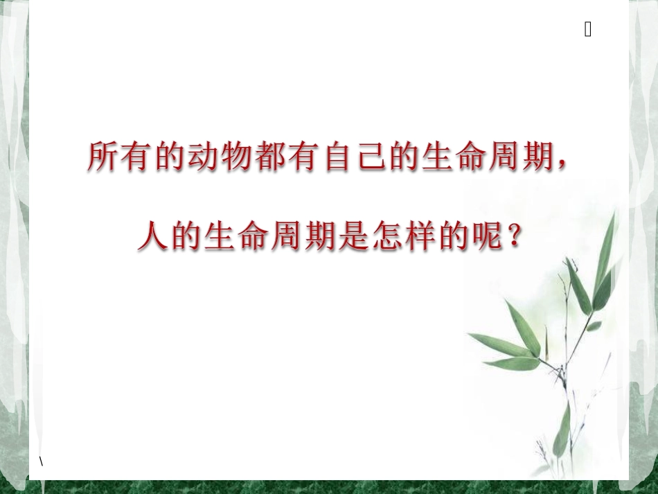 《我们的生命周期》_第2页