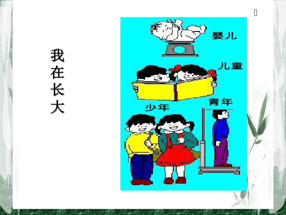《我们的生命周期》_第3页