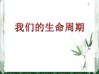《我们的生命周期》