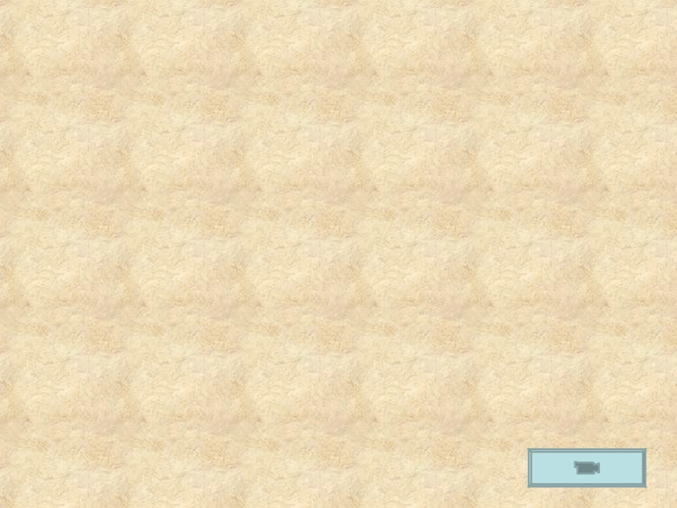 追寻高雅生活情趣_第1页