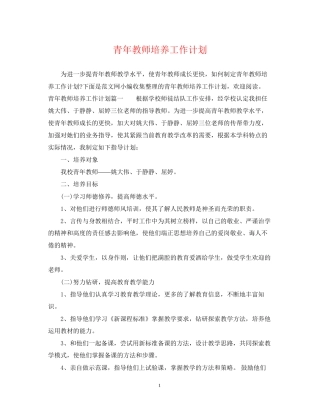 青年教师培养工作计划2