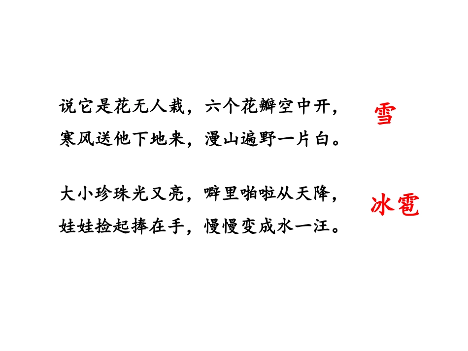 《我是什么》课件_第3页