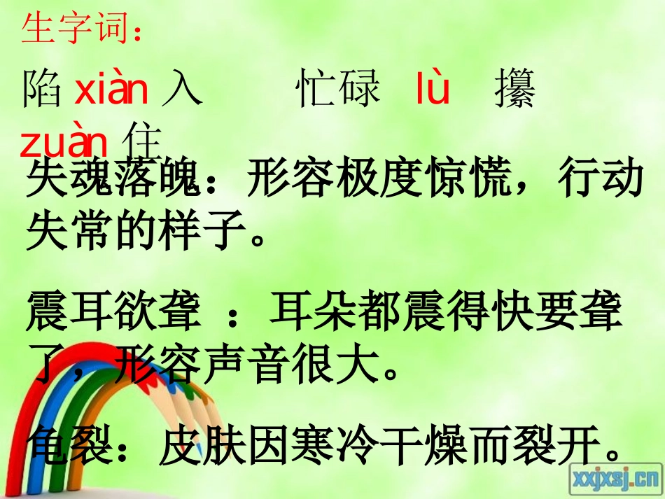 《慈母情深》课件_第2页