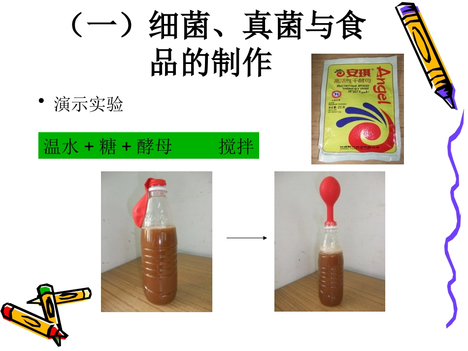 人类对细菌和真菌的利用_第2页