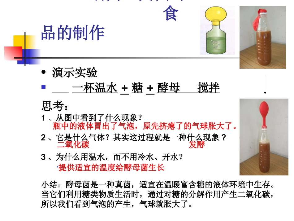 人类对细菌和真菌的利用_第3页