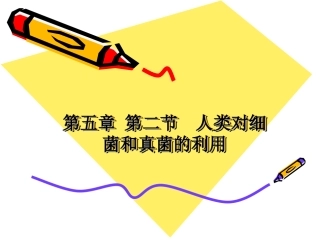 人类对细菌和真菌的利用