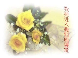 九年级总复习小说阅读指导