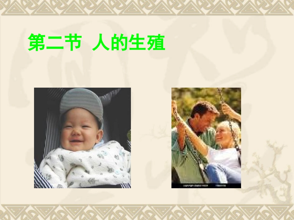 人的生殖 (2)_第1页