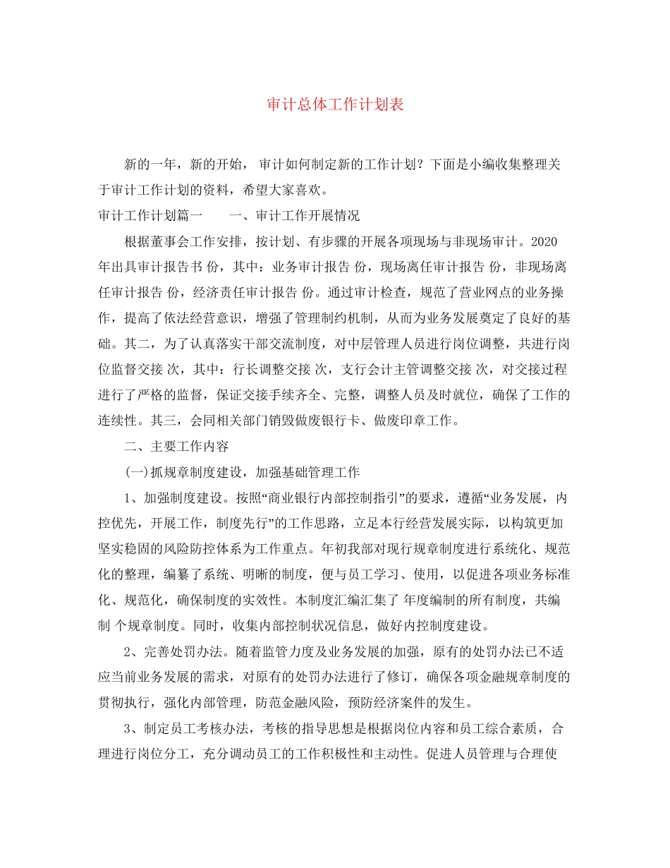 审计总体工作计划表_第1页