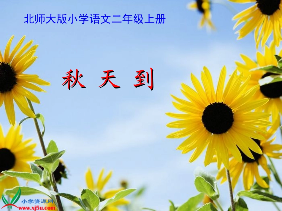《秋天到》教学演示课件_第1页