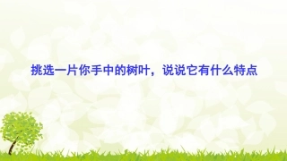 树叶的畅想——拓印游戏