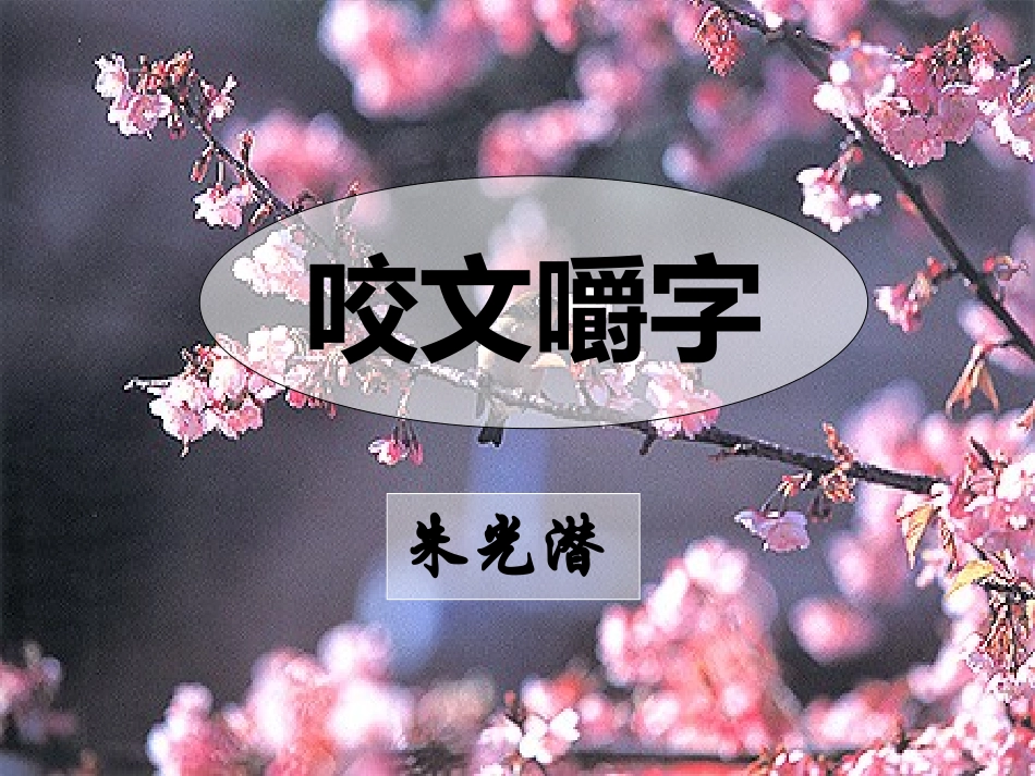 《咬文嚼字》课件_第1页