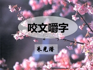 《咬文嚼字》课件