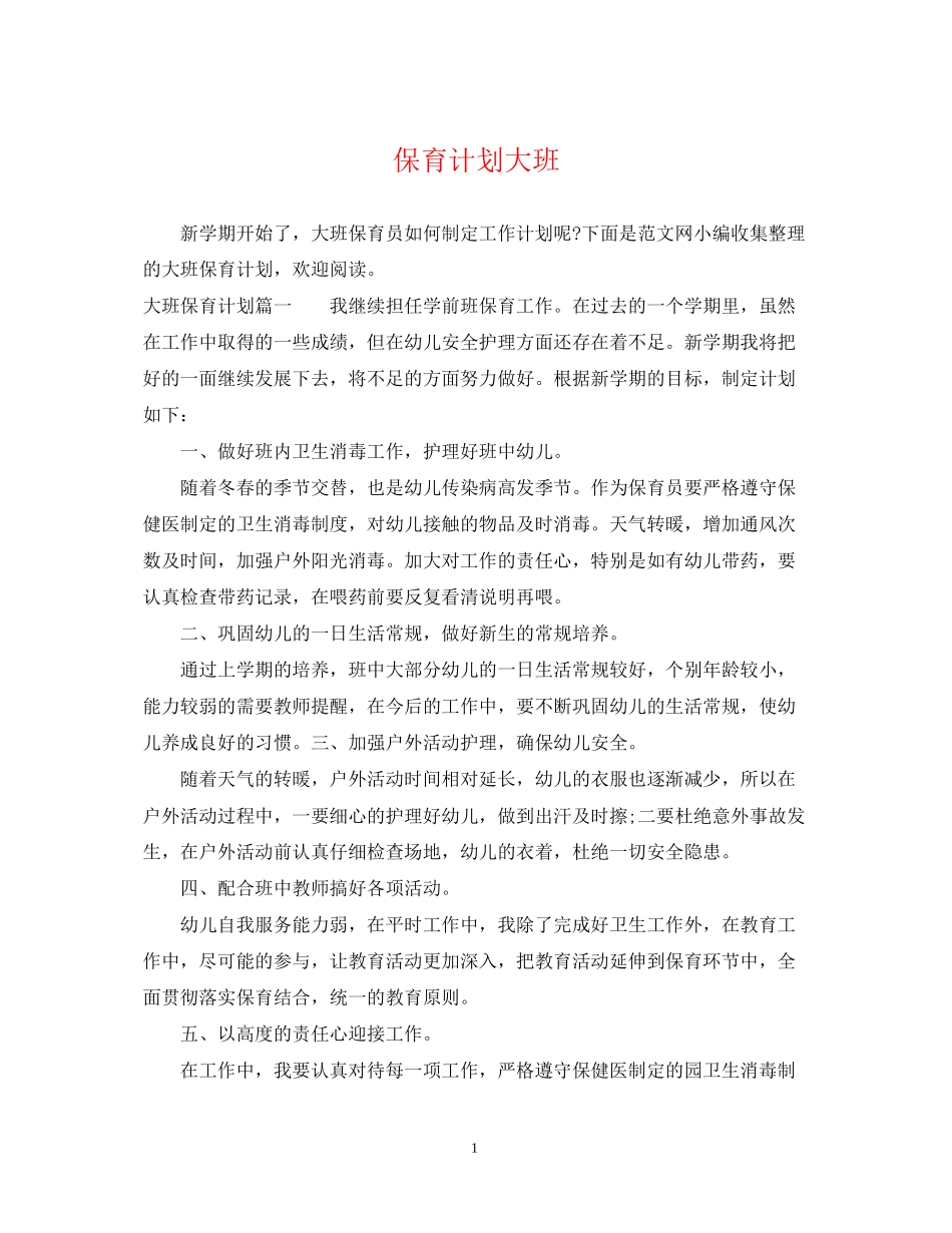 保育计划大班_第1页