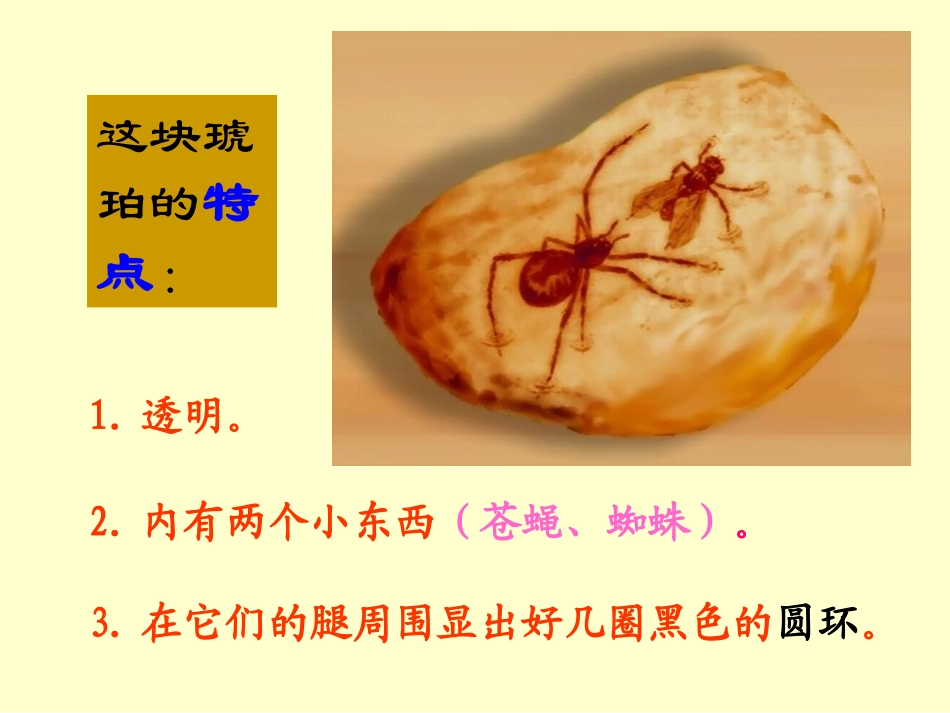 《琥珀》上课课件_第3页