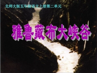 雅鲁藏布大峡谷(2)