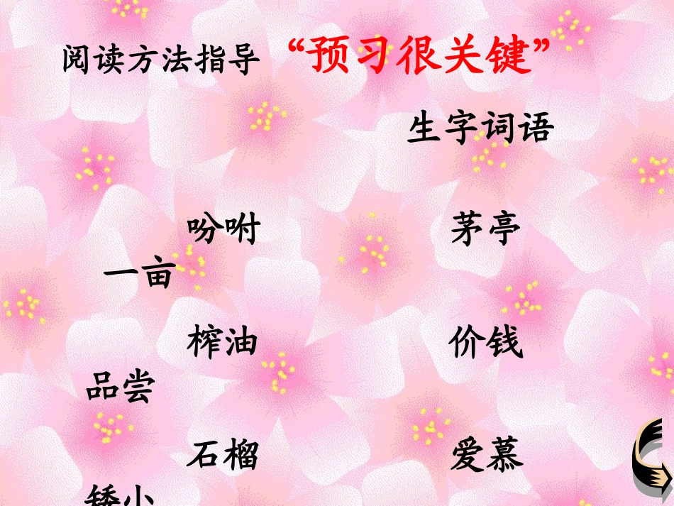 《落花生》课件 (8)_第3页