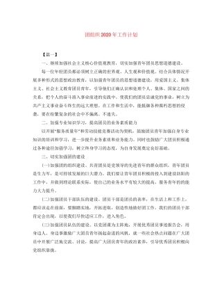 团组织年工作计划