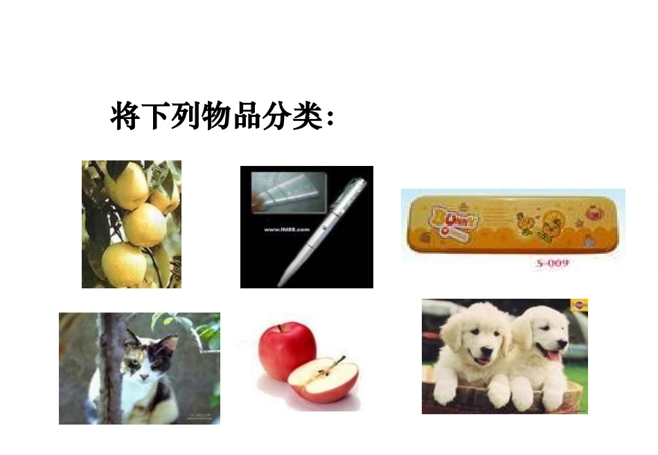 合并同类项 (2)_第3页