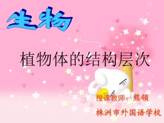 植物体的结构层次最终稿（熊领）