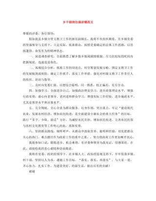 乡干部岗位演讲稿范文 