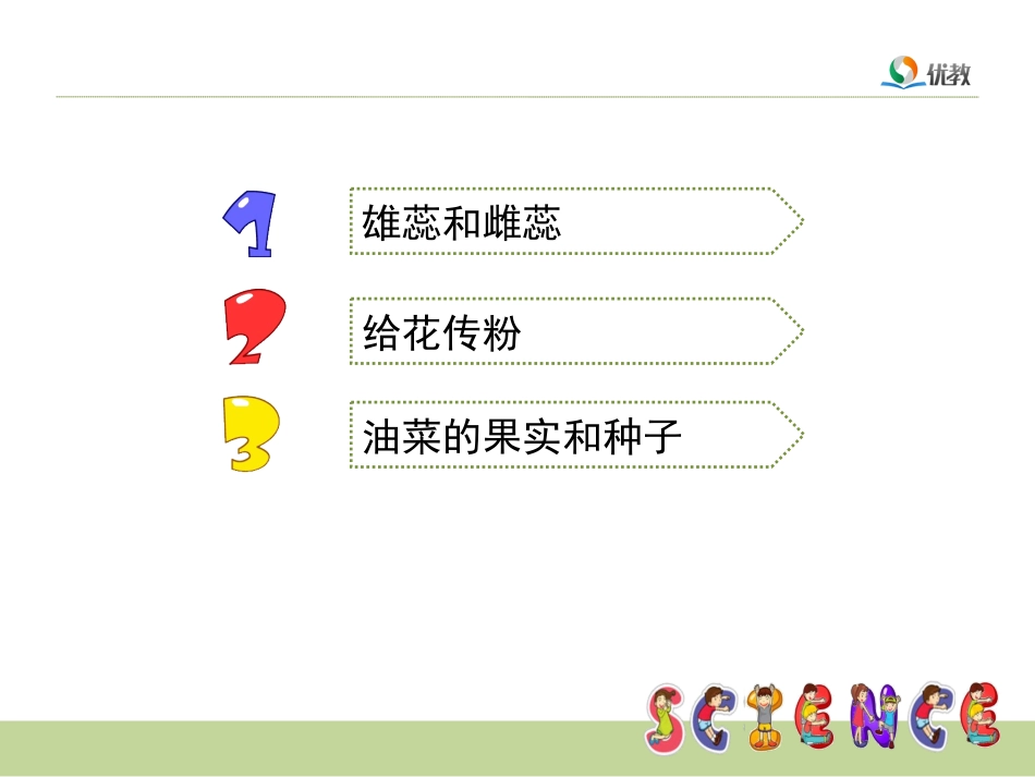 《花、果实和种子》教学课件_第2页