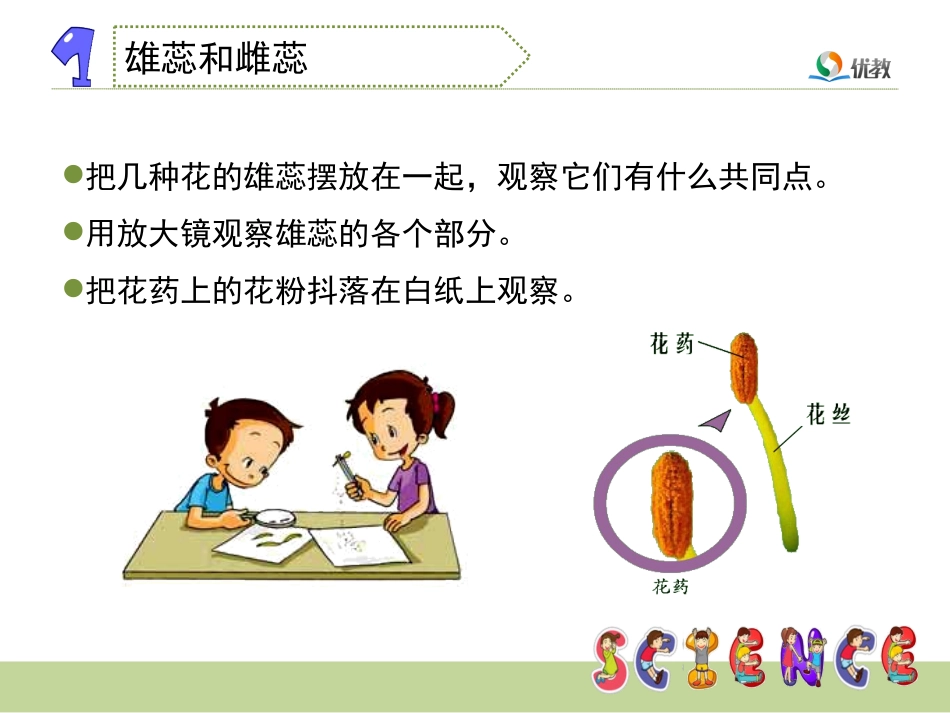 《花、果实和种子》教学课件_第3页