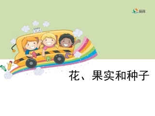 《花、果实和种子》教学课件