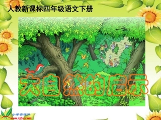 人教新课标四年级语文下册课件大自然的启示