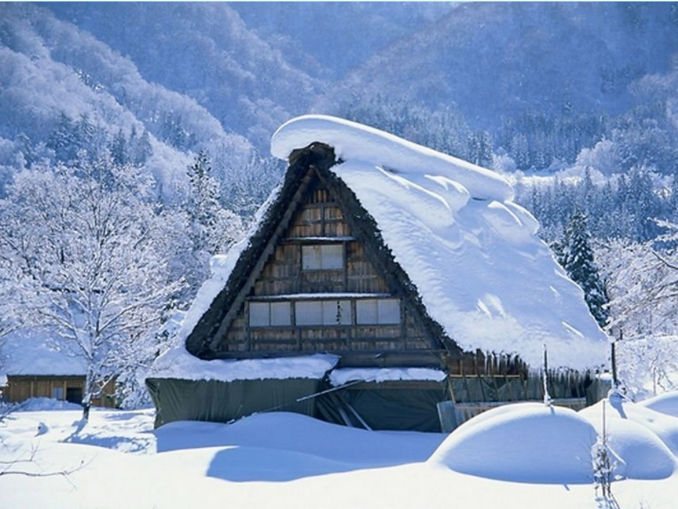 《雪地里的小画家》第一课时_第3页