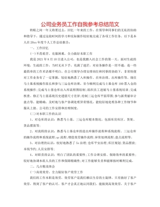 公司业务员工作自我参考总结范文 
