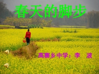春天的脚步(2)