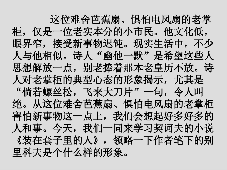 《装在套子里的人》-优秀课件_第2页