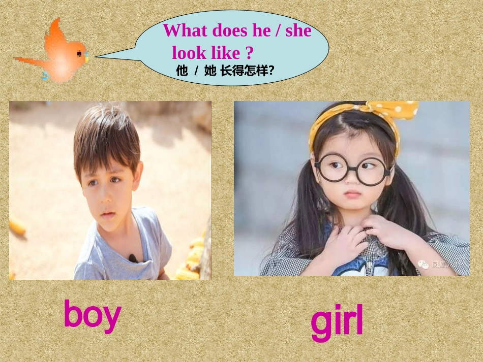 五+3课件+She+has+long+hair_第2页