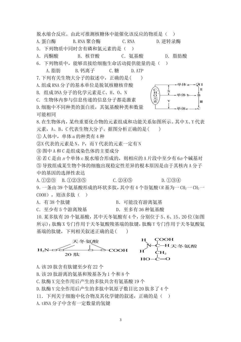 专项复习第1次(组成细胞的分子)MicrosoftWord文档_第3页